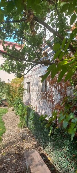 Otopeni, str. Craitelor,